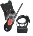 D.T. Systems H2O 2 Dog 1 Mile Remote Trainer with Rise and Jump H2O-1832