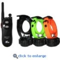 D.T. Systems Micro-iDT 3 Dog Remote Trainer IDT-Z3003