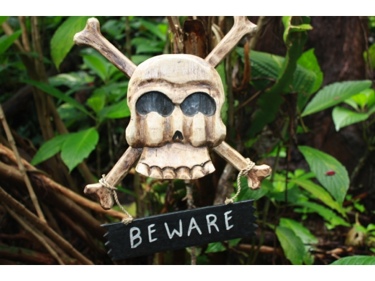 Beware Skull And Bones Sign Cross Bones Decor