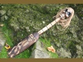 Skull Bones W Afro Oar Paddle Harley Davidson Skull Decor