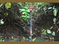 Lucky Devil Mastermind Power Stick Bad Boys Devil Decor