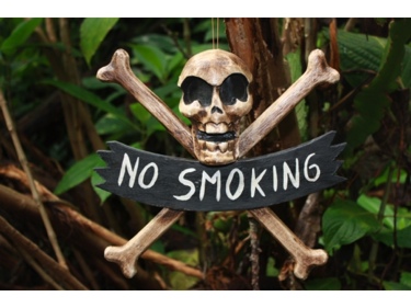 No Smoking Skull And Bones Sign 12 Cross Bones Decor