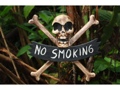 No Smoking Skull And Bones Sign 12 Cross Bones Decor