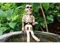 Hanging Skeleton 15 Halloween Decor
