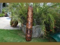 FIJIAN TIKI MASK W 2 TURTLES 40 PROSPERITY HAWAIIAN DECOR