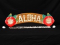 WELCOME SIGN ALOHA W HIBISCUSTIKI BAR DECOR