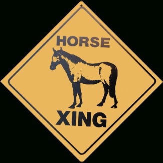Horse Crossing Sign - 1 Horse 12 X 12