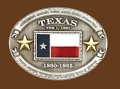 Texas State Flag Belt Buckle 4 x 3