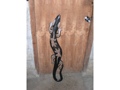 Gecko Hawaii Wall Plaque 40 Primitive Decor Accents