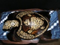 Turtle Designer 16 Hawaiian Art