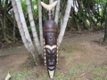 NATIVE TIKI MASK CHIEF 40 INTERIOR DESIGNER decor