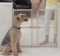 North States Clear View Pet Gate Xt NS4612