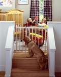 North States Stairway Swing  Gate NS4630