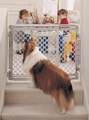 North States Walk-Thru Pet Gate NS8679