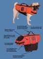 Pet Saver Life Jacker - X-Large