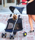 Walk N Roll Top Flap Stroller