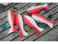 Hanging Fish Set Of 5 Red Coastal Coastal Decor