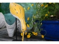 Eating Bird Rustic Yellow Coastal 14 Garden Home Decor