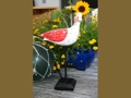 Seagull Bird Rustic Red Coastal 14 Garden Home Decor
