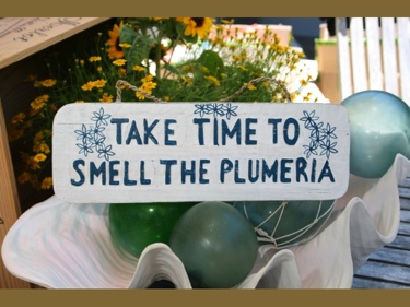 Take Time To Smell The Plumeria Cottage Sign 14 Rustic White Blue Coastal Decor