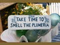 TAKE TIME TO SMELL THE PLUMERIA COTTAGE SIGN 14 RUSTIC WHITE BLUE COASTAL DECOR