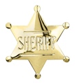 Sheriff Badge Pin - Gold