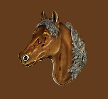 Horsehead Belt Buckle 2-3/4 x 3