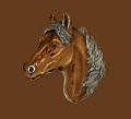 Horsehead Belt Buckle 2-3/4 x 3