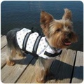 Designer Dogg Life Jacket M Louie  20-50 Lb