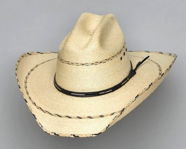Palm Hat 