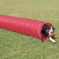 Petsafe Agility 10 Open Tunnel