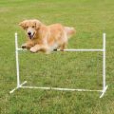 Petsafe Agility Bar Jump