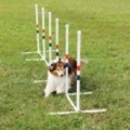 Petsafe Agility Weave Poles