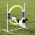 Petsafe Agility Ring Jump
