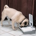2 Meal Feeder