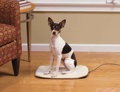 Petsafe Heated Pet Pad (Small Dog)