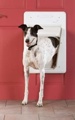 SmartDoor Large