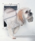 Ideal Pet Door Original White Medium