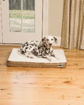 Heated Wellness Bed - Small