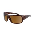 Balance  Tortoise Frame  Brown Lens