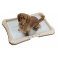 Paw Trax Pet Starter Kit Large