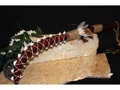 Hawaiian Sword Weapon 26 24 Shark Teeth Hawaiian Art Decor
