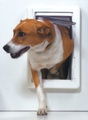 Ideal Pet Doors Ruff Weather Pet Door Medium