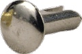 Rivets Genuine Marshall Silver package of 20 