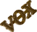 Logo Genuine Vox Gold Small for AC10 & AC50 