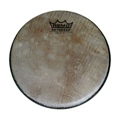 Remo Skyndeep Head  3/4 Inch Deep X 8 Inch