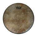 Remo Skyndeep Head 3/4 Inch Deep X 11 Inch