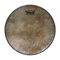 Remo Skyndeep Head 3/4 Inch Deep X 12 Inch