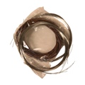 Banjira Sarangi String Set