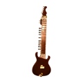 Banjira Sitar Fusion Electric Gears Rosul D